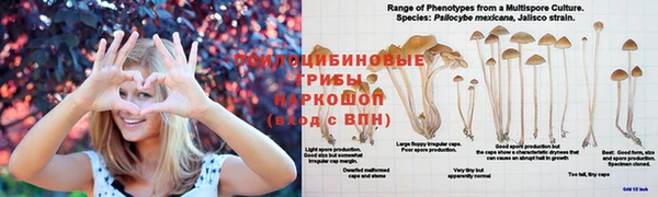 МДПВ Баксан